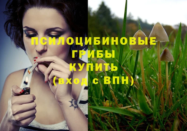 трава Абдулино