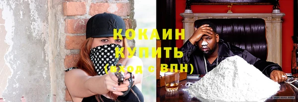 винт Няндома
