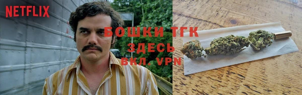 винт Няндома