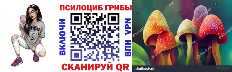 купить наркоту  Североморск  Галлюциногенные грибы ЛСД 